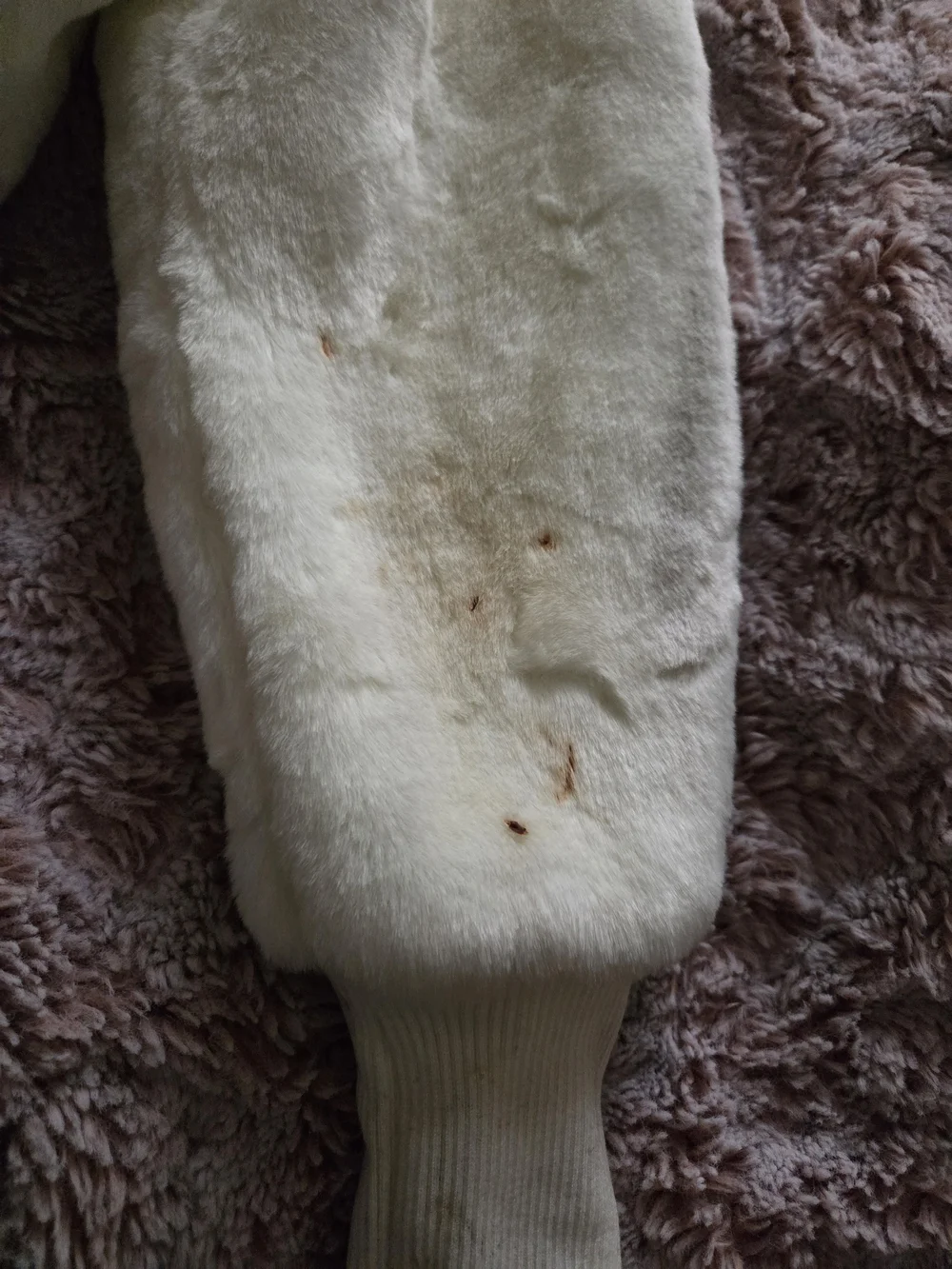 bebe Cream Faux-Fur Hooded Zip Teddy Jacket - Picture 12 of 12